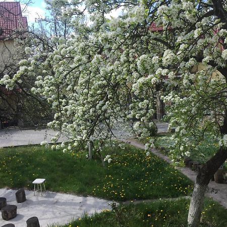 Квартира-Студія Шале Truskavets Eksteriør billede