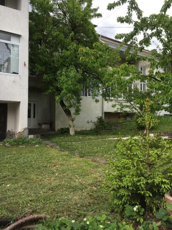 Квартира-Студія Шале Truskavets Eksteriør billede
